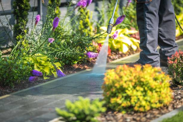 Best Winterizing Services  in Marmora, NJ